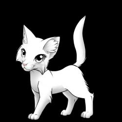 User Profile: SecretScholar