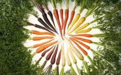 User Profile: PurpleCarrots