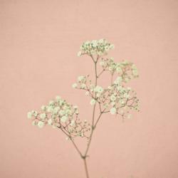User Profile: magnolia98