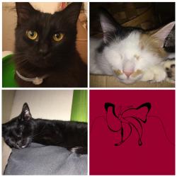 User Profile: Redrose0310