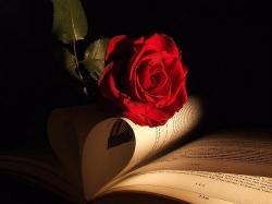 User Profile: Classicisrose