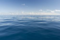 User Profile: redOcean7273
