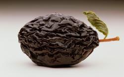 User Profile: emotionalPrune2782