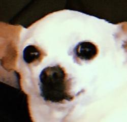 User Profile: BellaY