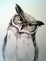 User Profile: SilverOwl125