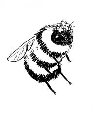 User Profile: blueScarf1386