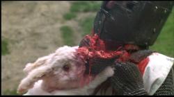 User Profile: DeathBunny