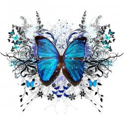 User Profile: Abluebutterfly