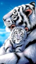 User Profile: fearlessTiger2678