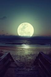 User Profile: brightMoon53