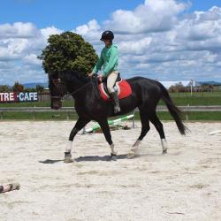 User Profile: Skittles133