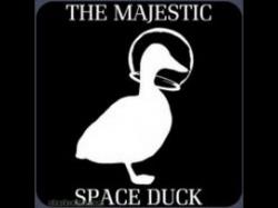 User Profile: SpaceDuck