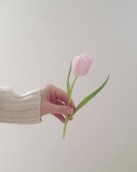User Profile: iamscarletrose