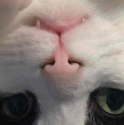 User Profile: Gabrielleunicorn