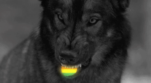User Profile: schizowolf