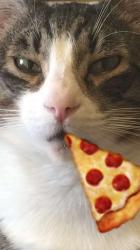User Profile: Lilleyshere