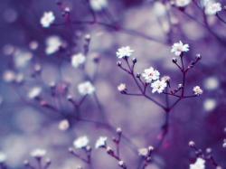 User Profile: thoughtfulDime2234