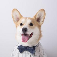 User Profile: jcp
