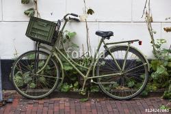 User Profile: oliveBike869