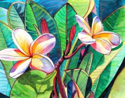 User Profile: TropicalLights