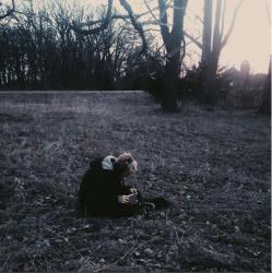 User Profile: NemirelofMirkwood
