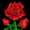 User Profile: Amora826