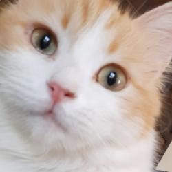 User Profile: kingjd99