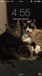 User Profile: Samuelbc20