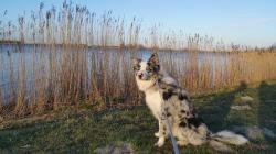 User Profile: StrawberryCupcake111