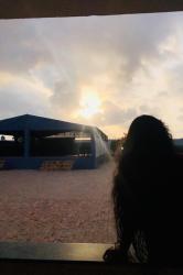 User Profile: PssstSugarM