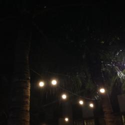 User Profile: annab2417