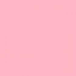 User Profile: StellaEyreCardona42