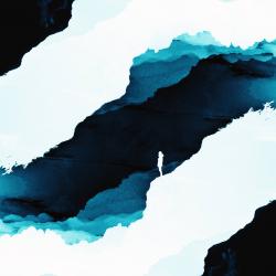 User Profile: EverybodyGoes