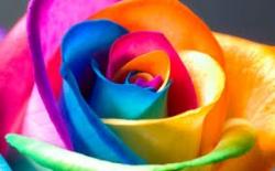 User Profile: BeautifullyBroken07