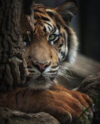 User Profile: Sany58