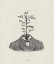 User Profile: courteousLunch82