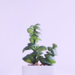 User Profile: Katiebug02