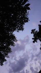 User Profile: selfconfidentLake164