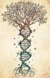 User Profile: brightTree5008