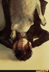User Profile: WolfgangVanHussen