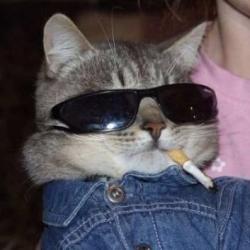 User Profile: zeee1288