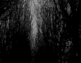 User Profile: ryuk09