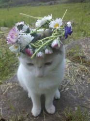User Profile: elifsenaercan
