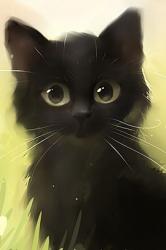 User Profile: Catlover1993