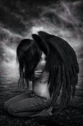 User Profile: xXMidnightXx