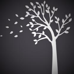 User Profile: GlassTree