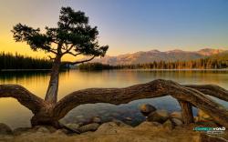 User Profile: Franny67