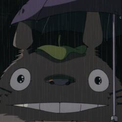 User Profile: MiniTotoro