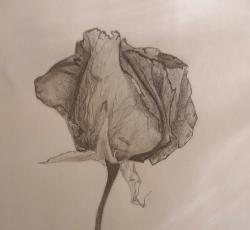 User Profile: smellofRoses