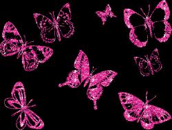 User Profile: CamiButterfly
